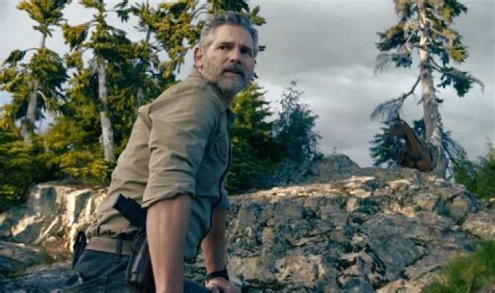 Meet The Stars Behind The Star