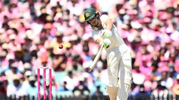 Melanie Bracewell's Journey To Cricketing Excellence