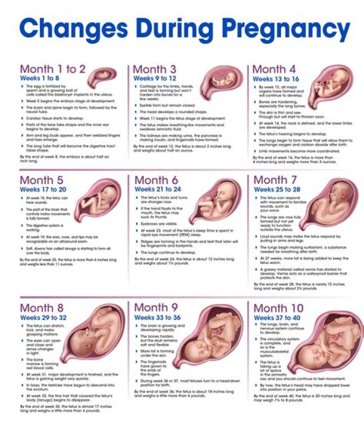 Molly Yeh's Pregnancy Journey: A Complete Guide