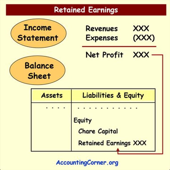 Net Worth, Earnings, And Financial Journey