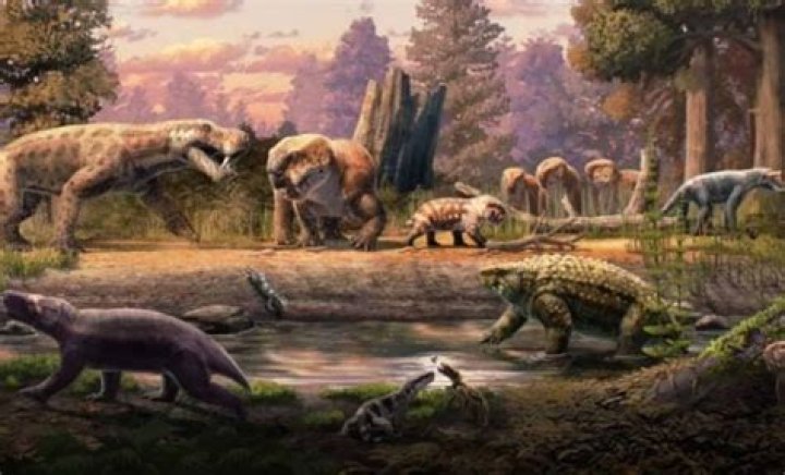 New Discoveries And Insights Revealed