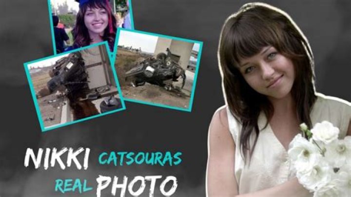 Nikki Catsaurus, Beloved Cat Influencer, Passes Away