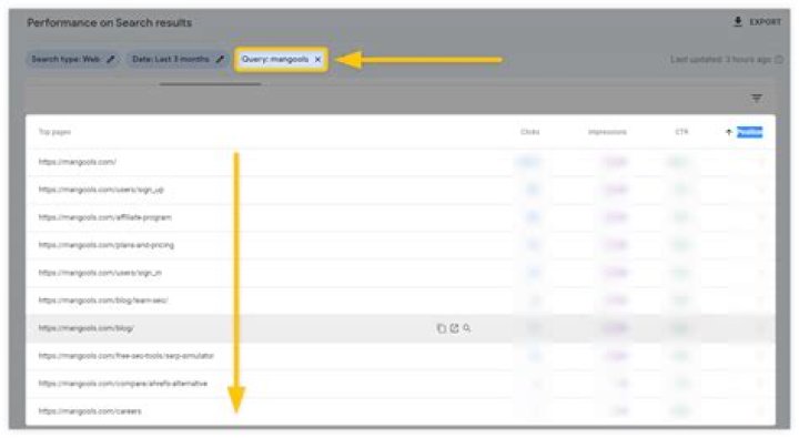 Precisely Check Website Rankings Online For Higher Visibility