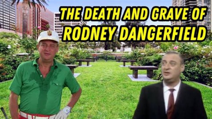 Rodney Dangerfield Cause of Death, How did Rodney Dangerfield Die? ·