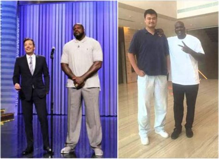 Shaq's Towering Height: Discover The Shaq Attack's Dimensions