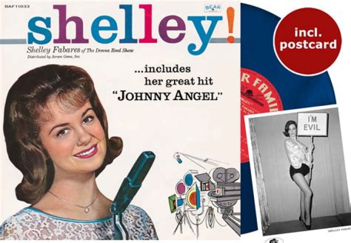 Shelley Fabares: Uncovering Her Present Endeavors