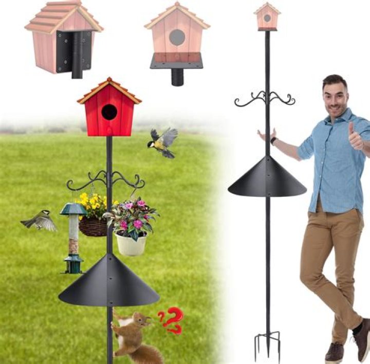 Shield Your Bird Feeder: The Ultimate Squirrel-Proof Pole