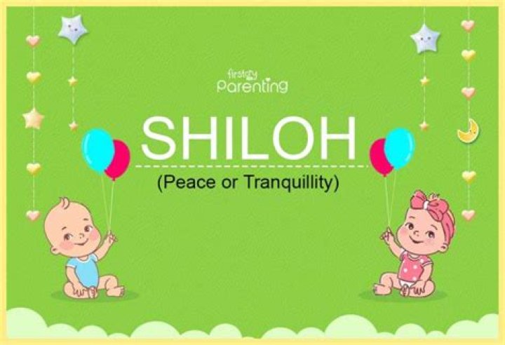 Shiloh Name - A Comprehensive Gender Analysis