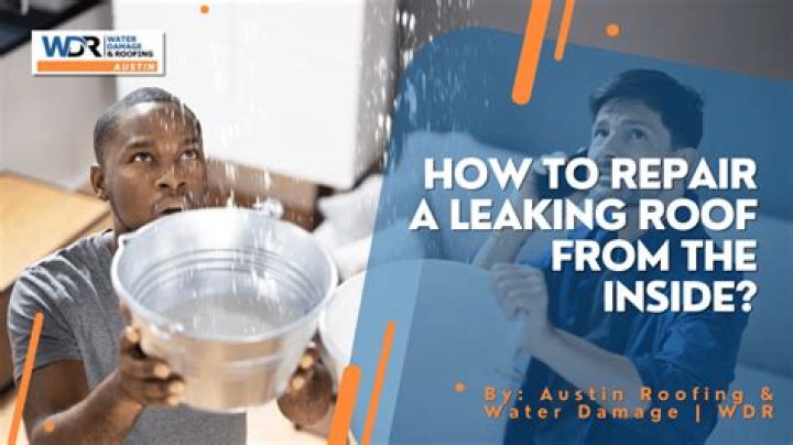 SophieRain Of Leak: The Ultimate Guide To Leaky Roof Repair