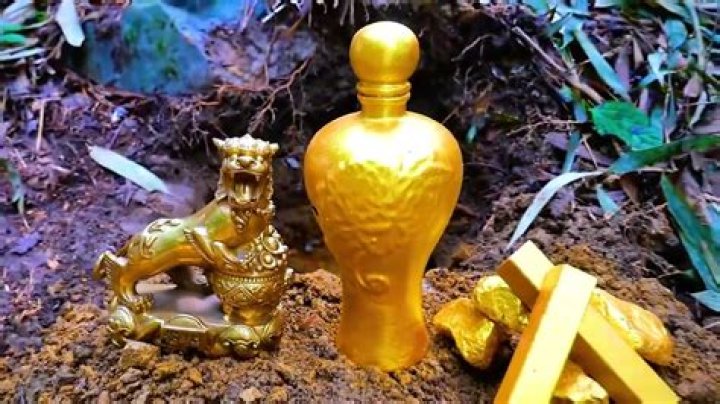 Surprising Insights And Hidden Treasures