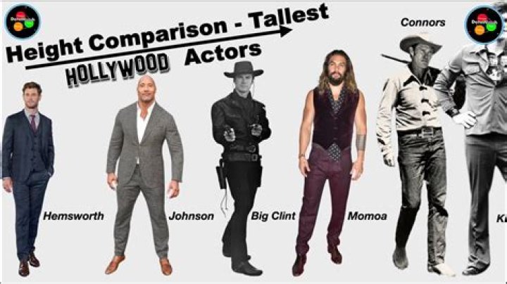 Tall And Mighty: The Impressive Height Of Hollywood's Bear Actors