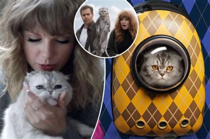 Taylor Swift's Feline Friends: The Ultimate Guide To Her Beloved Cats