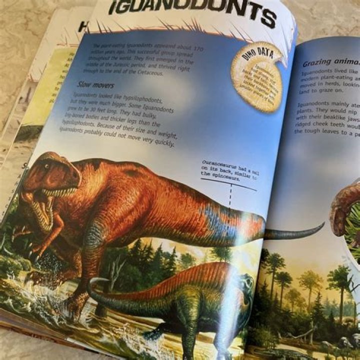 The Complete Guide To Caitlin Clark's Full Name