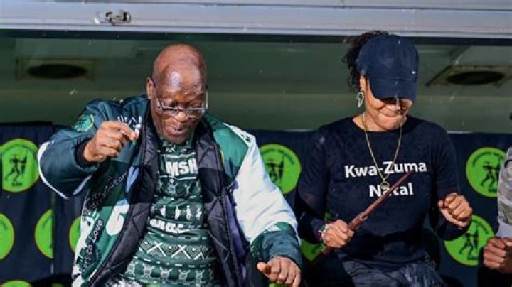 The Educational Journey Of Duduzile Zuma: Unraveling Her Academic Accomplishments