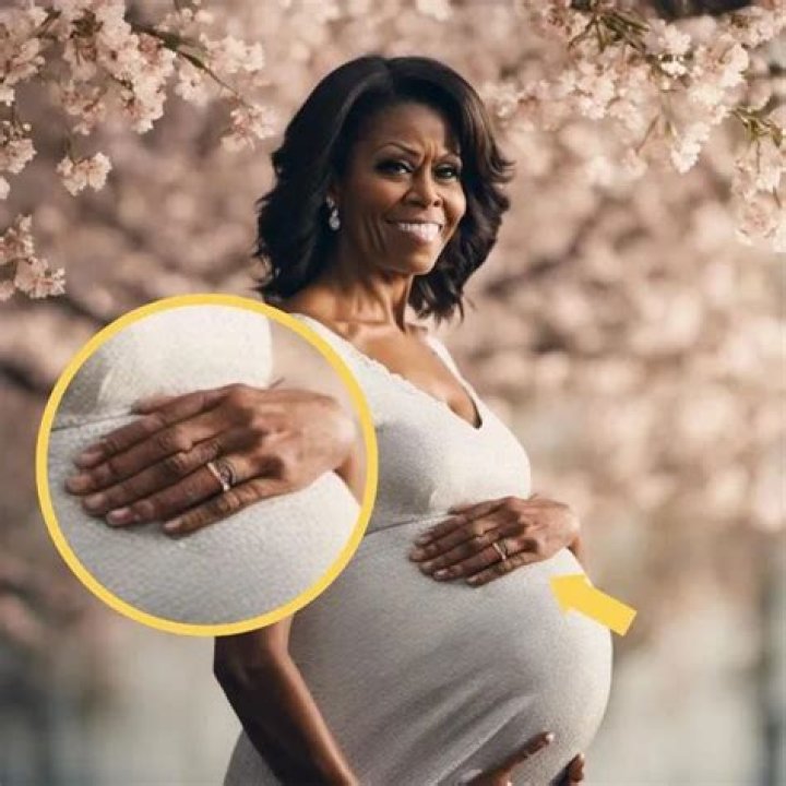 The Latest On Michelle Obama's Pregnancy Rumors