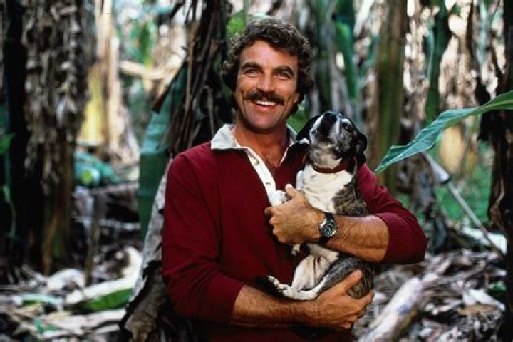 The Towering Height Of Magnum PI: An Exploration Of His Stature