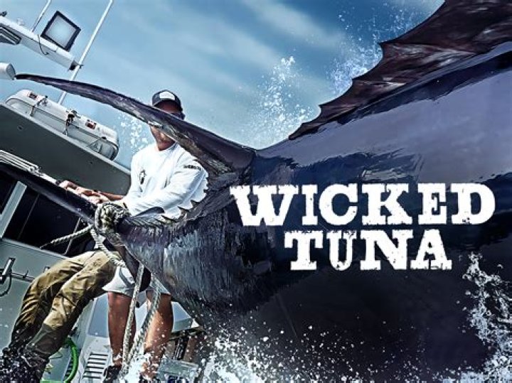 The Ultimate Guide To Bounty Hunting: Lessons From Wicked Tuna