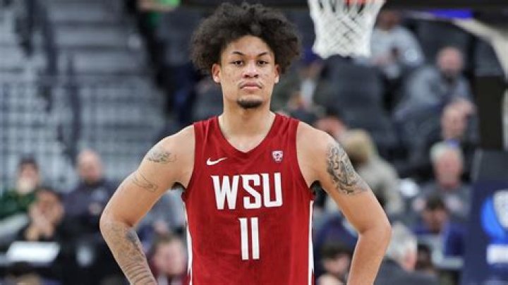 The Ultimate Guide To DJ Rodman