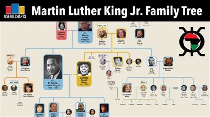 The Ultimate Guide To Joey King's Family Members And Hollywood Legacy