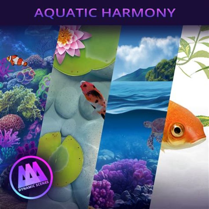 The Ultimate Guide To Seal Musicians: Unlocking The Secrets Of Aquatic Harmony