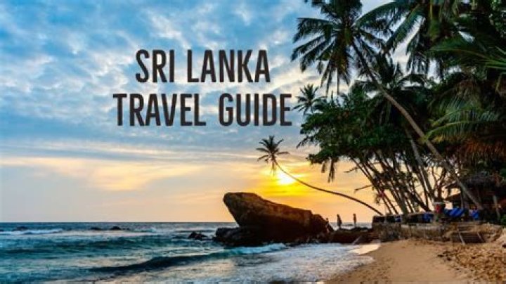 The Ultimate Guide To Sri Lanka's Best SEO Services
