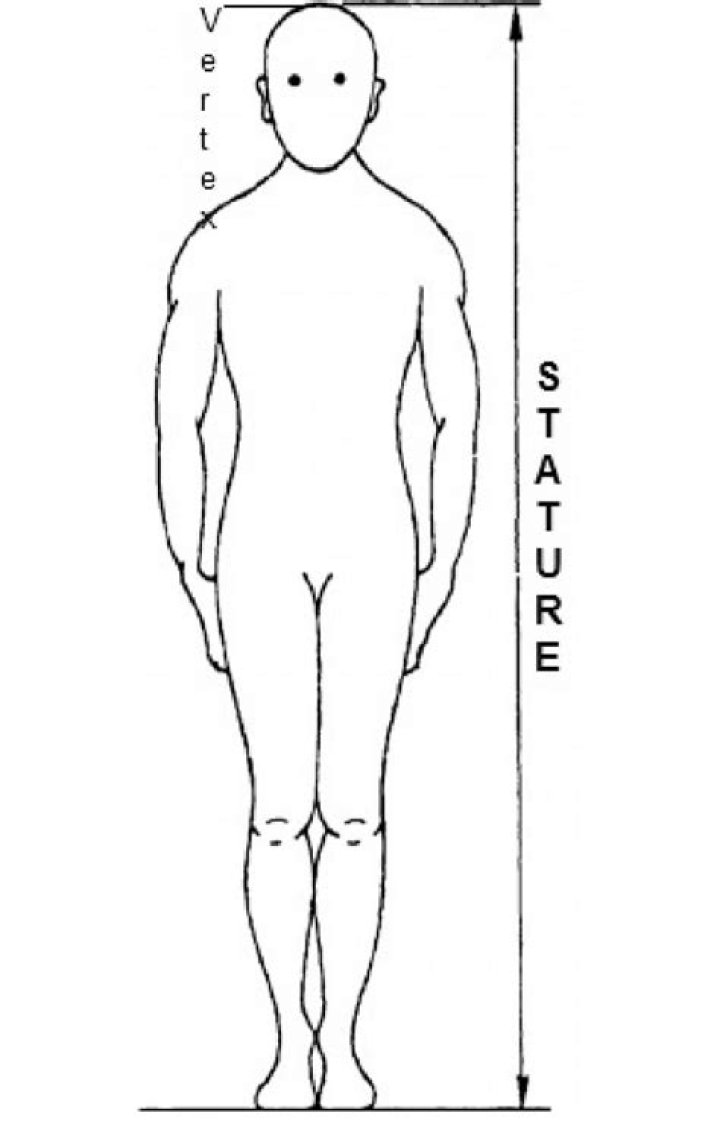 The Ultimate Guide To Tate Height: Measuring And Maximizing Your Vertical Stature