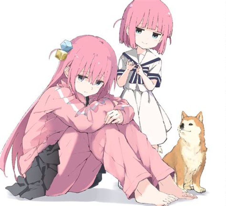 The Ultimate Guide To The Rock Sister: A Comprehensive Overview