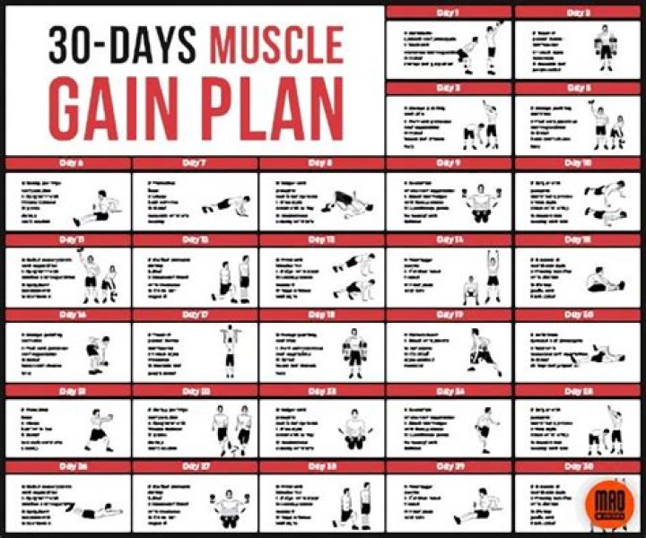The Ultimate Guide To Tyla's Workout And Diet Regimen