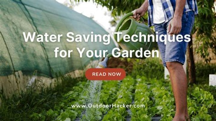 The Ultimate Guide To Water-Saving Garden Hoses