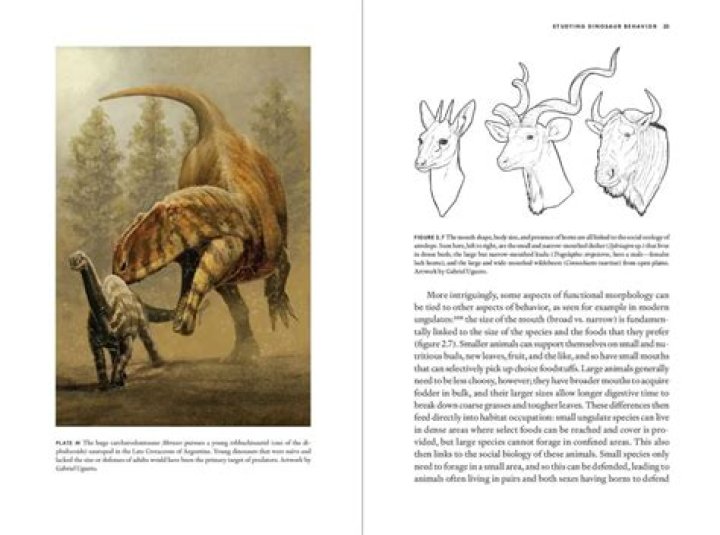 The Ultimate Guide: Uncovering The Secrets Of The Rocks' Children