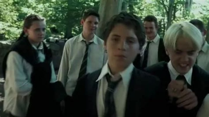 Tom Ackerley And His Connection To Harry Potter: An Unforgettable Experience