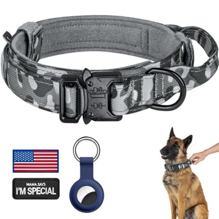 Top-Rated Dog Collars For Large Dogs: Ultimate Comfort And Control