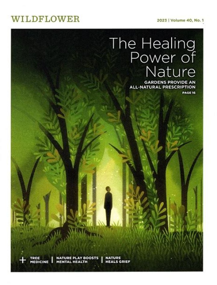 Top Secrets Of The Wives Plant: Uncover The Healing Power