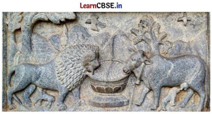 Uncover Saweetie's Roots: Exploring Her Nationality