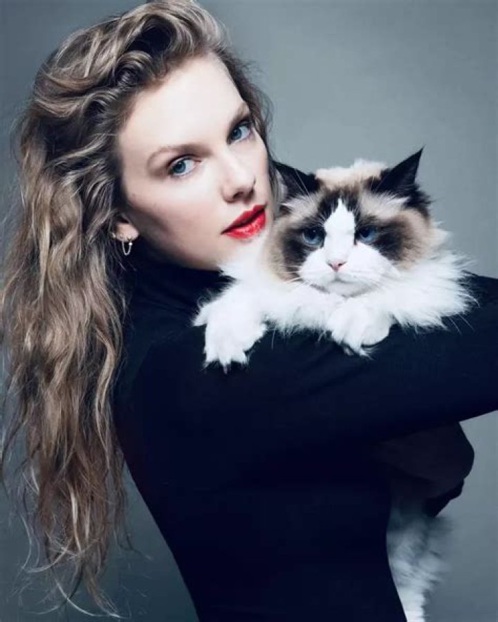 Uncover The Enchanting Cat Breed Gracing Taylor Swift's Music