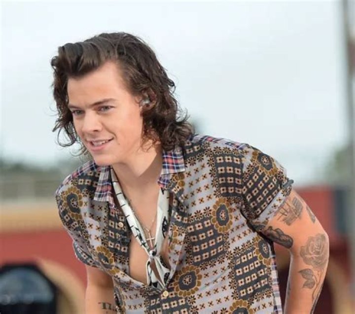 Uncover The Intriguing Truth: Harry Styles' Age Revealed
