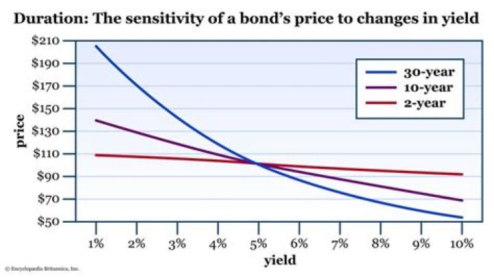 Uncovering The Bond And Impact