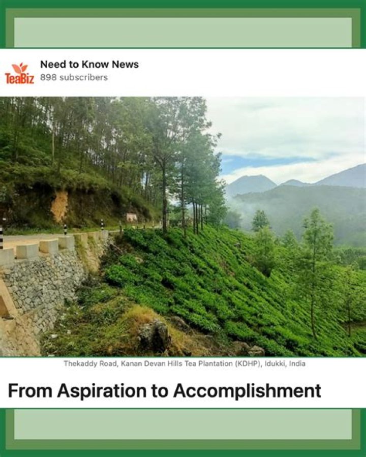 Uncovering The Journey Of An Accomplished Journalist