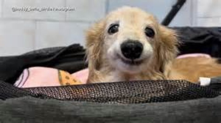 Uncovering The Man Behind The Golf Legend