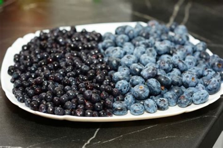 Understanding The Relationship Between Blueberries And Heartburn