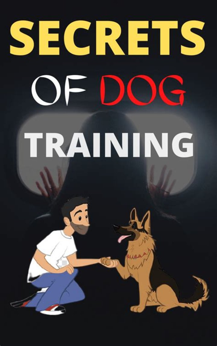 Unlock The Secrets Of Dog Training With Mandy Hansen