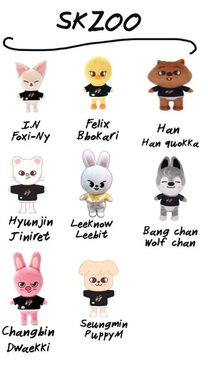 Unraveling The Mystique Of I.N's SKZOO Name