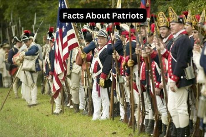 Unveiling Anne Howard, The Patriot: Discoveries And Revolutionary Insights