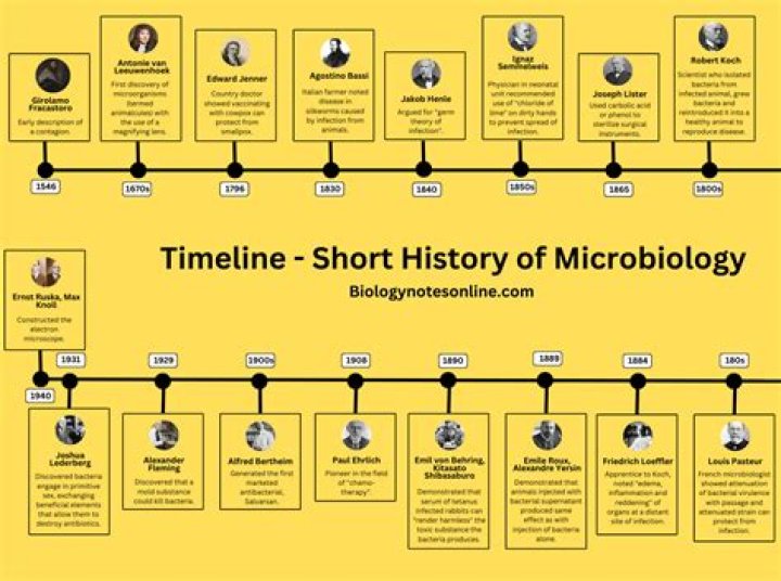 Unveiling Brock Lesnar's German Roots: Discoveries And Insights