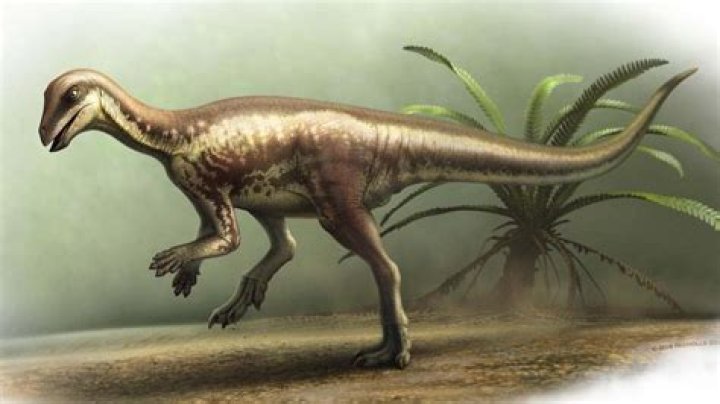 Unveiling James Small's Personal Enigma: Discoveries And Insights