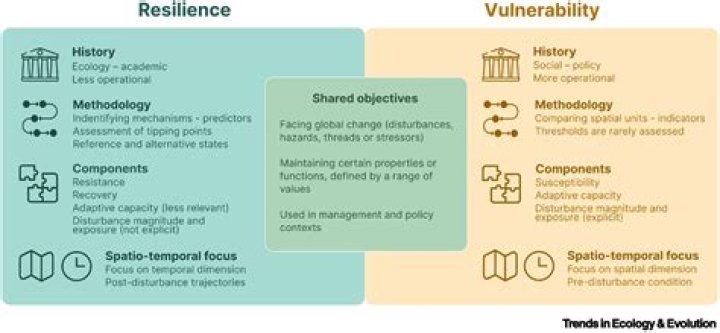 Unveiling Resilience And Vulnerability: Nick Diaz's Heartbreaking Journey