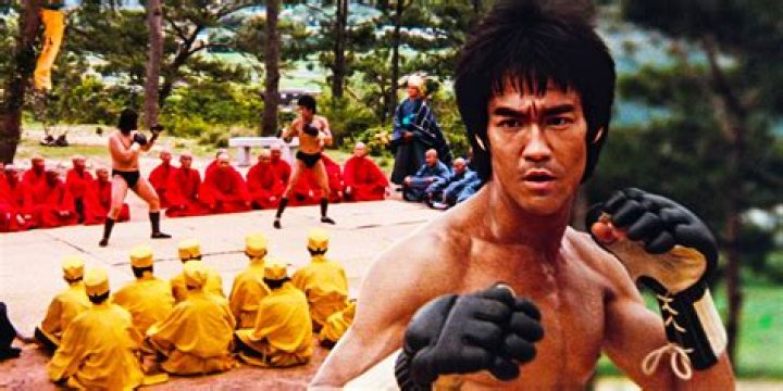 Unveiling Shane Kosugi's Martial Arts Legacy And Cinematic Journey