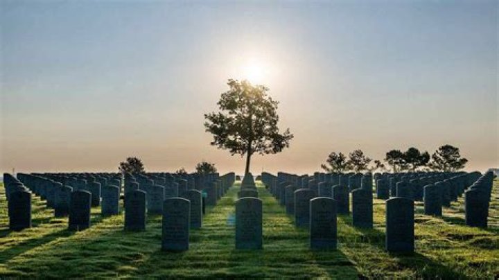 Unveiling Terri Facci Globe Park: A Haven Of Surprises