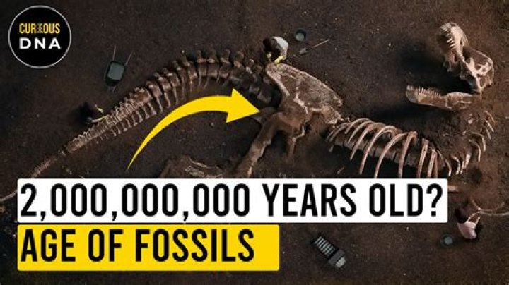 Unveiling The Ages Of Cartel De Santa: Discoveries And Insights