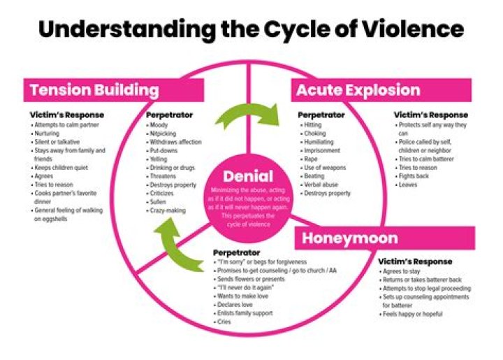 Unveiling The Complexities Of Domestic Violence